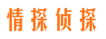 泾阳市侦探调查公司